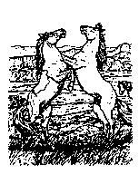 coloriage combat de chevaux